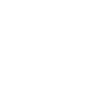 light logo